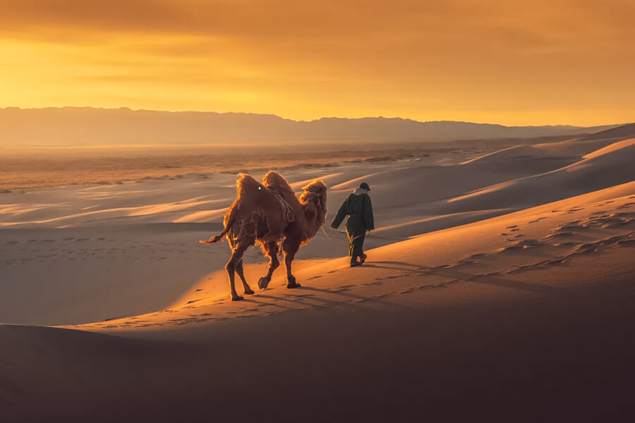 5 Điều Thú Vị Về Sa Mạc Gobi-Sa Mạc Lớn Nhất Châu Á