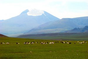 Chiêm Ngưỡng Vẻ Đẹp Núi Otgontenger - Ngọn Núi Cao Nhất Dãy Khangai Mông Cổ