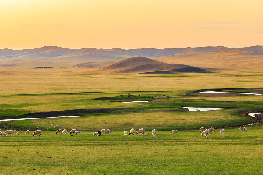 Đôi Nét Về Du Lịch Mông Cổ