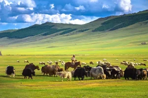 Du Lịch Thảo Nguyên Châu Á Vì Sao Mông Cổ Luôn Được Nhắc Cùng Trung Quốc