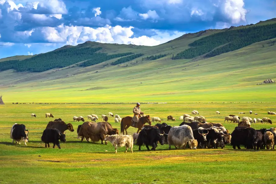 Du Lịch Thảo Nguyên Châu Á Vì Sao Mông Cổ Luôn Được Nhắc Cùng Trung Quốc