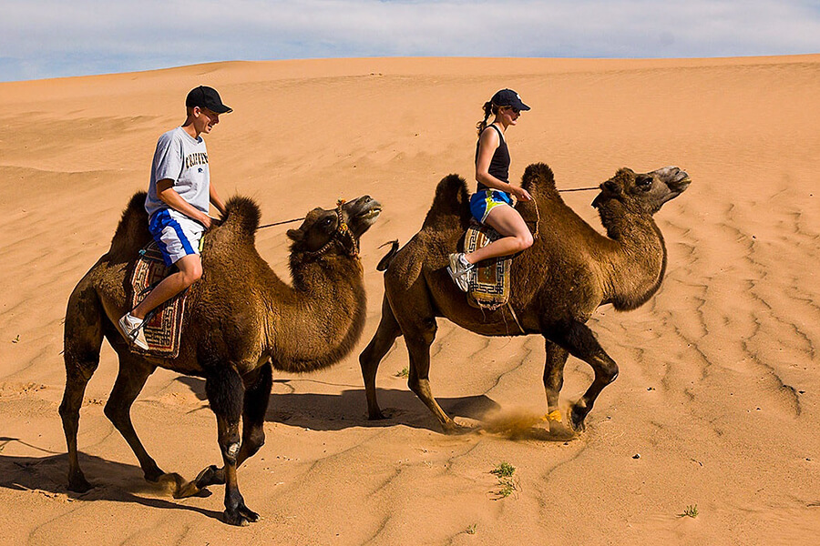 Du lịch Mông Cổ trải nghiệm cưỡi lạc đà ở sa mạc Gobi