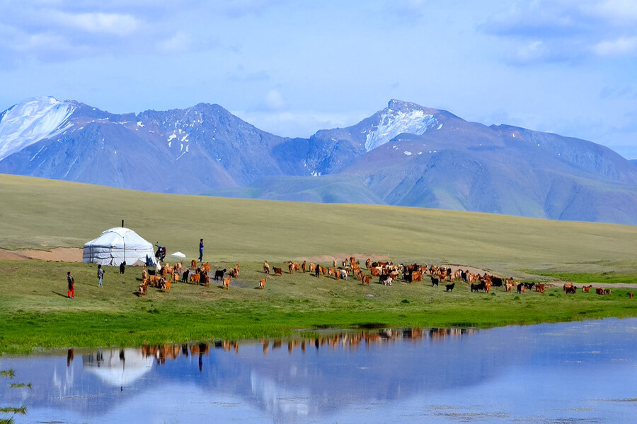 Giới Thiệu Tổng Quan Về Đất Nước Mông Cổ