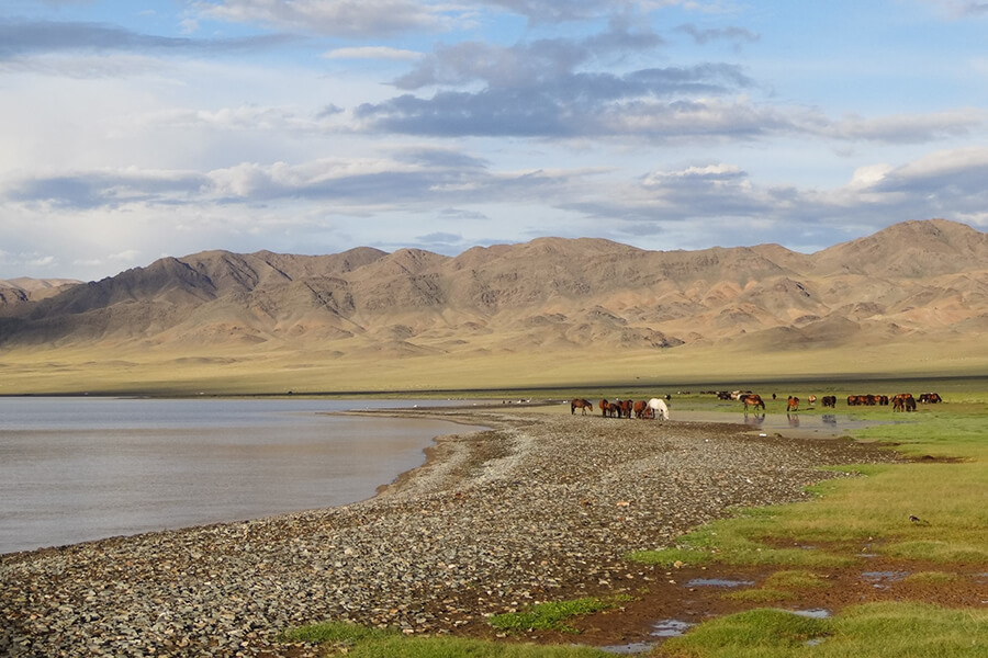 Hệ Sinh Thái Thủy Văn Ở Hồ UVS Mông Cổ