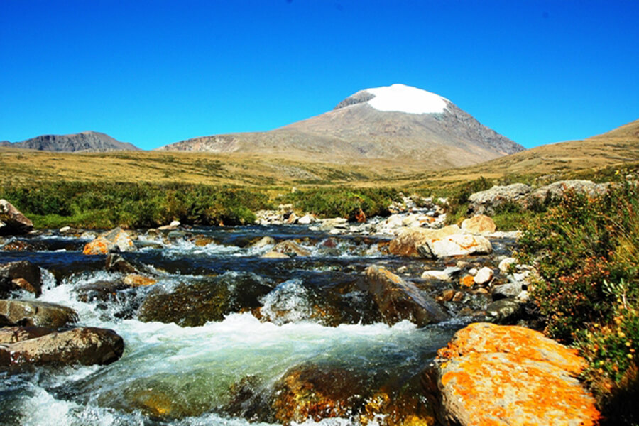Hệ Thống Suối Nước & Thảm Thực Vật Bên Núi Otgontenger Mông Cổ