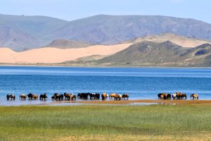 Hồ Ulaagchiin Khar Lake - Viên Ngọc Xanh Của Mông Cổ