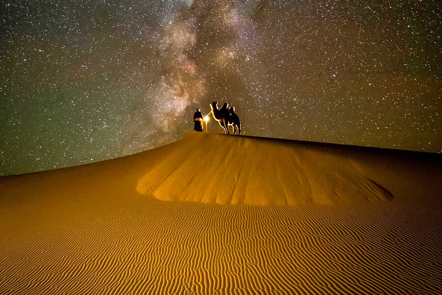 Khám Phá Cuộc Sống Về Đêm Trên Sa Mạc Gobi