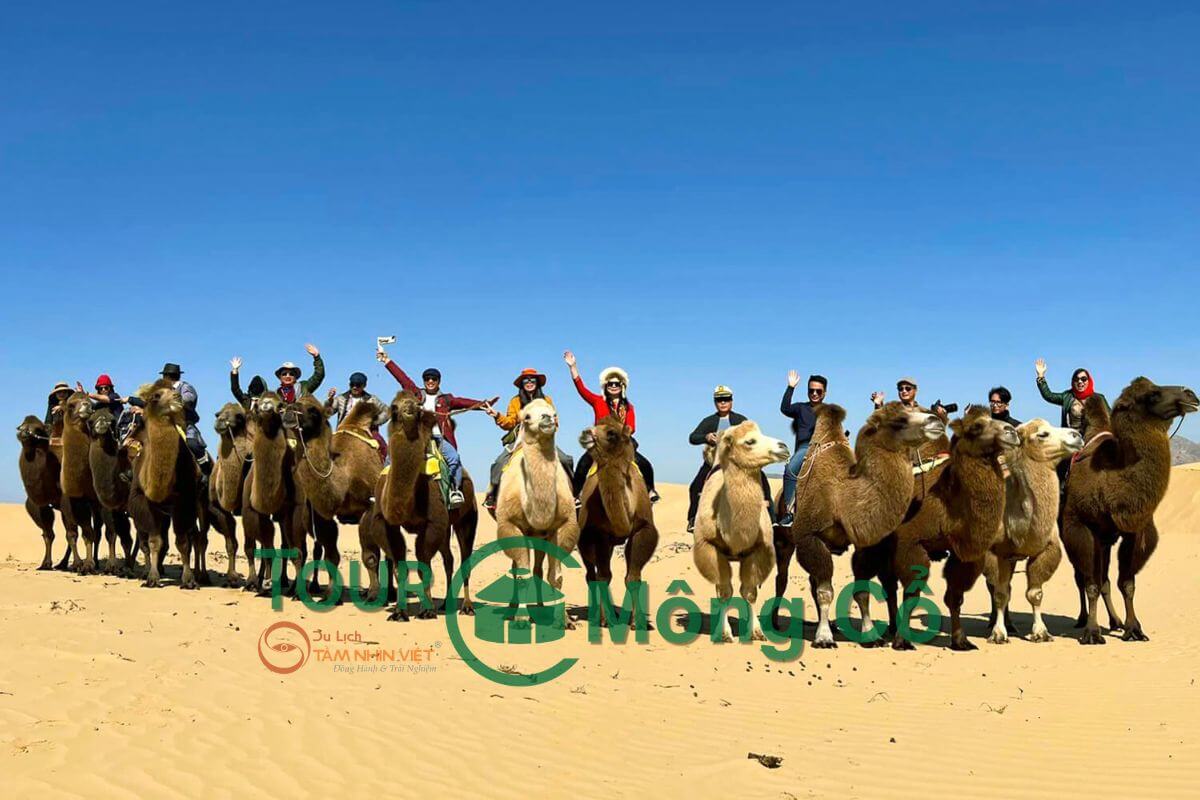 Khám phá văn hóa du mục tại Mông Cổ