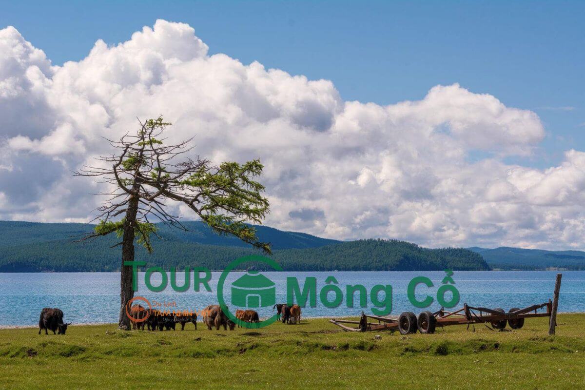 Quang cảnh Hồ Ugii