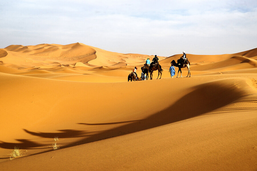 Sa Mạc Gobi - Sa Mạc Lớn Nhất Châu Á Ở Mông Cổ