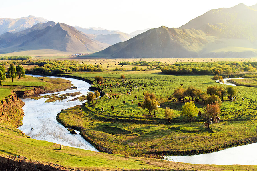 Thung Lũng Orkhon - Nơi Ghi Lại Dấu Ấn Lịch Sử Loài Người Ở Mông Cổ