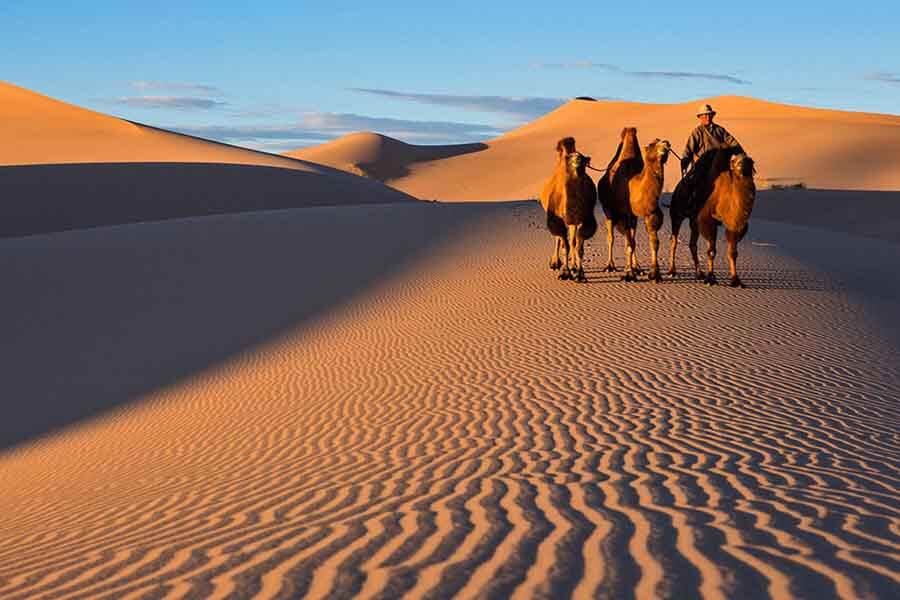Trải nghiệm cưỡi lạc đà trong tour du lịch Mông Cổ