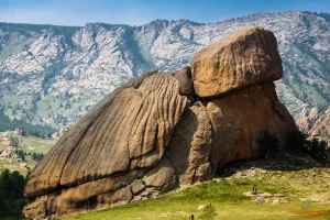 Turtle Rock